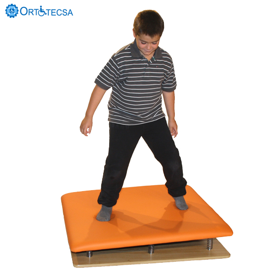 show original title Details about   Balance Board Tail Board Gyro Balance Physio theraphie Home Trainer 
